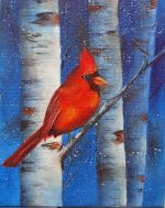 Cardinal And Birches